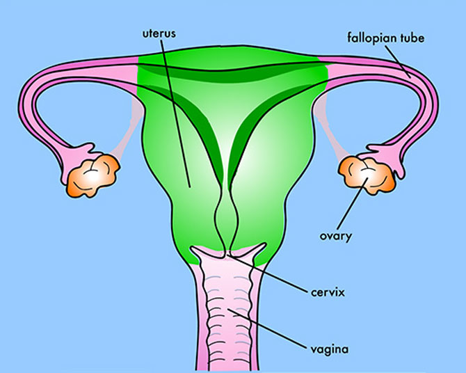Menstrual Problems