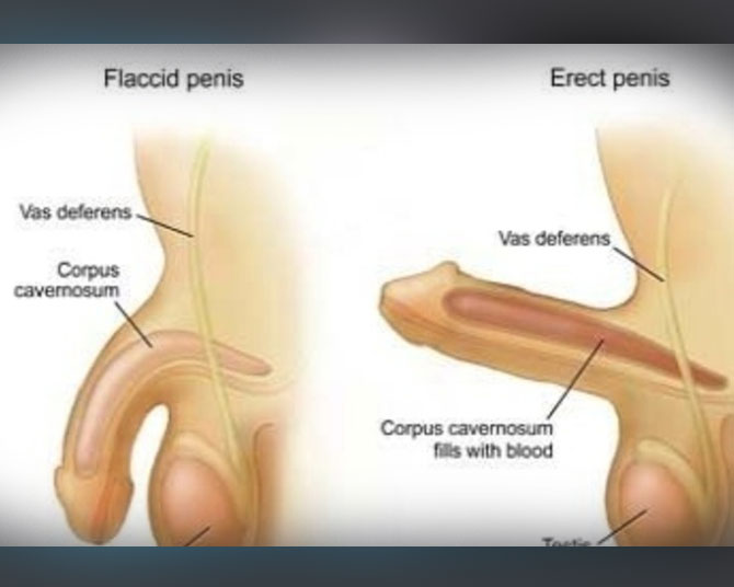 Hormonal Imbalances