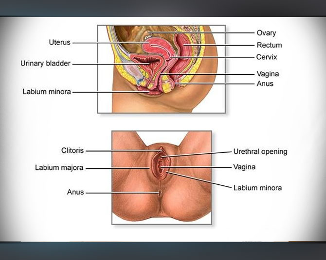 Hormonal Imbalances