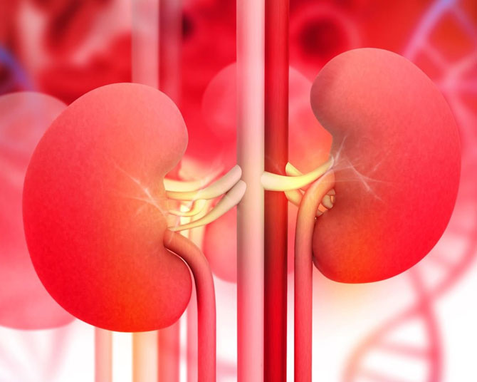 Kidney  Treatment